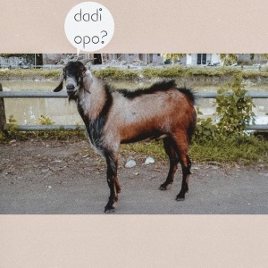 Listen to Dadi Opo? song with lyrics from Salriz Seventysix