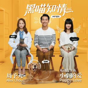 收聽AC周予天的小小的愛 (《黑喵知情》片頭曲)歌詞歌曲