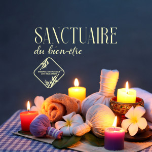 Spa Musique Collection的专辑Sanctuaire du bien-être (Massage thaïlandais de relaxation, musique de spa asiatique)