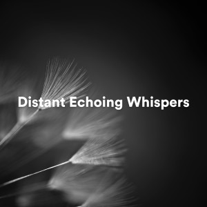 Album Distant Echoing Whispers from Relaxation Music