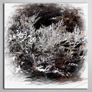 อัลบัม Silent Night (Acoustic) ศิลปิน GPC