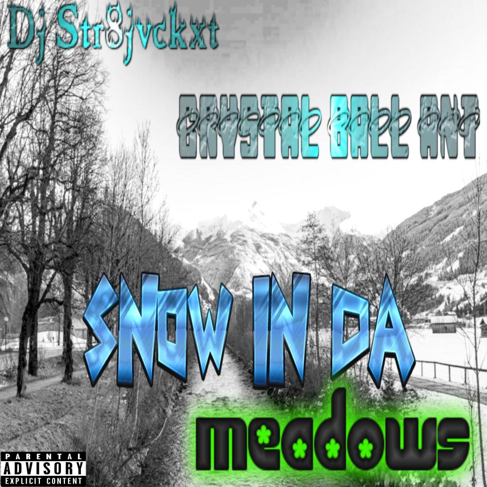 Snow In Da Meadows (Explicit)