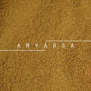 Listen to Selamat Malam Cinta song with lyrics from Amyarsa