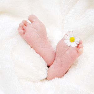 ดาวน์โหลดและฟังเพลง Baby, Mama Will Sing You A Lullaby พร้อมเนื้อเพลงจาก Sleep Well My Baby