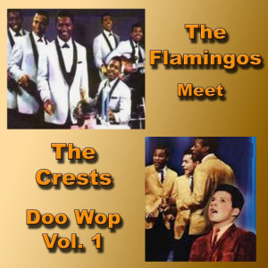 收聽The Flamingos的You'll Never Walk Alone歌詞歌曲