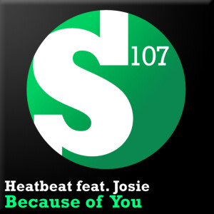 ดาวน์โหลดและฟังเพลง Because Of You (M6 vs Re:Locate Remix) พร้อมเนื้อเพลงจาก Heatbeat