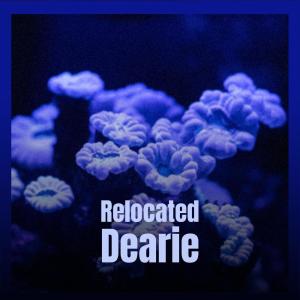 Album Relocated Dearie oleh Various