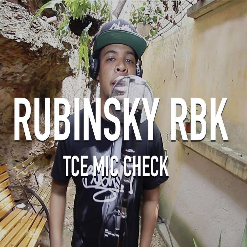 Tce Mic Check
