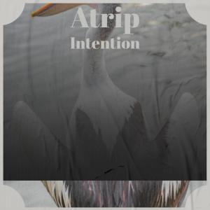 Album Atrip Intention from Various