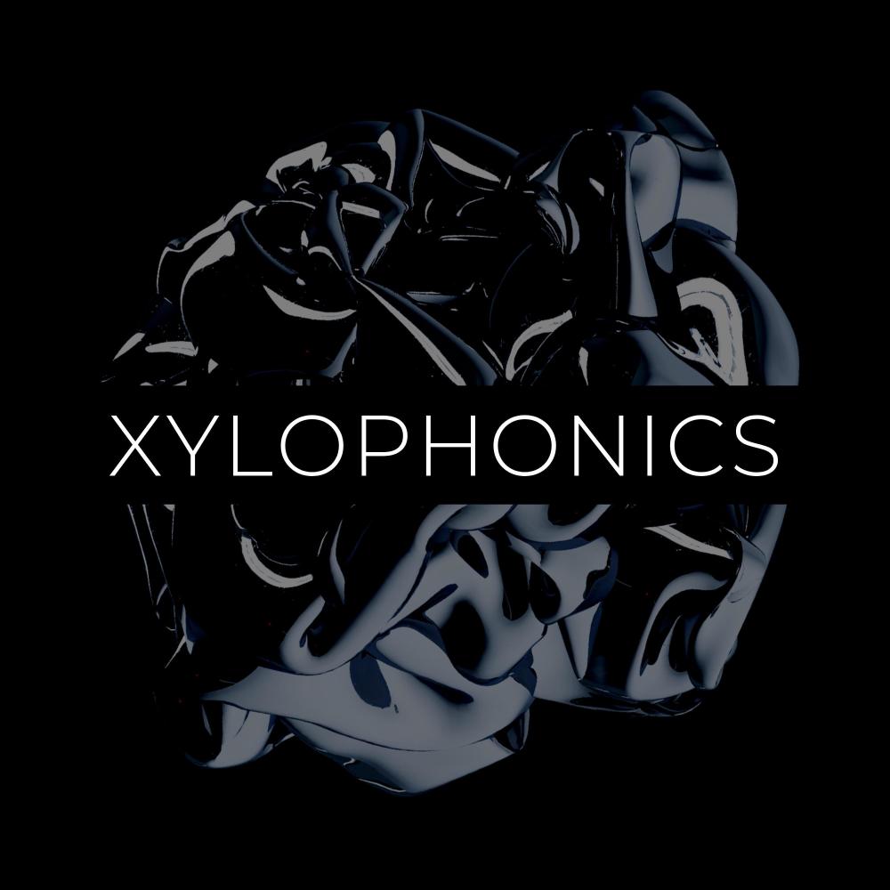Xylophonics X