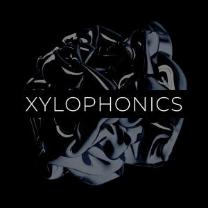 ดาวน์โหลดและฟังเพลง Xylophonics X พร้อมเนื้อเพลงจาก JG Stockton
