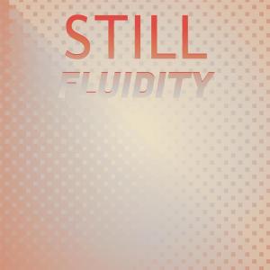 Various的专辑Still Fluidity