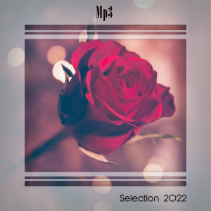 Various Artists的專輯MP3 SELECTION 2022