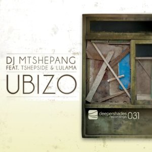 Album Ubizo from Dj Mtshepang