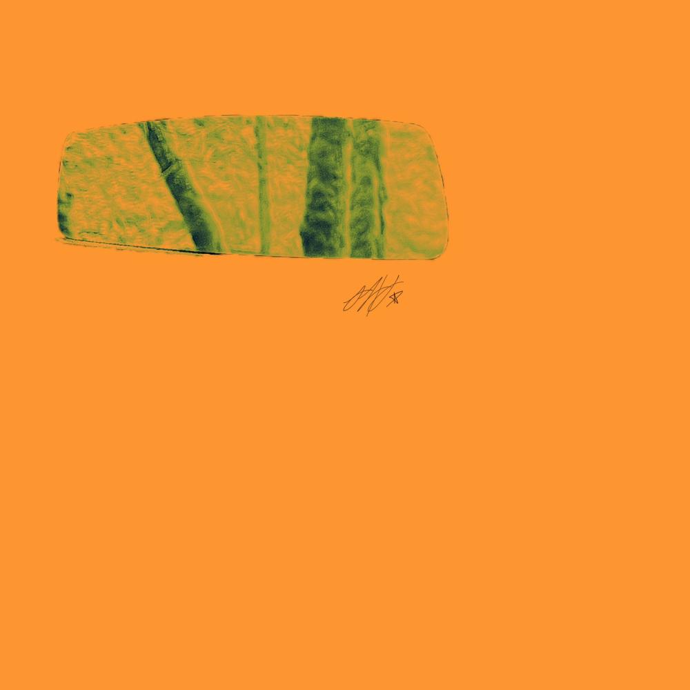 WOODGRAIN (FREESTYLE) (Explicit)