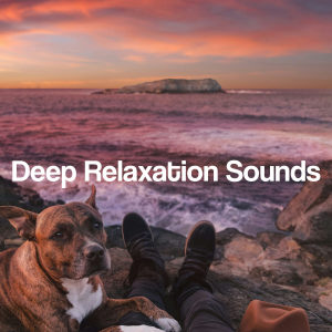 ดาวน์โหลดและฟังเพลง Ambient Peace Field พร้อมเนื้อเพลงจาก Relaxing Music Oasis