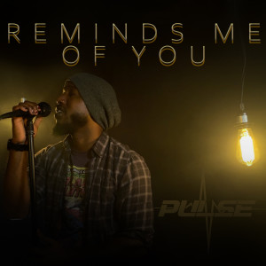 Dengarkan lagu Reminds Me of You (Explicit) nyanyian Pulse dengan lirik