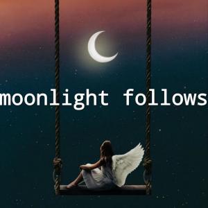 Ismaillife的專輯Moonlight Follows
