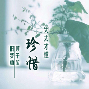 Listen to 失去才懂珍惜 (抖音版) song with lyrics from 顾子陌