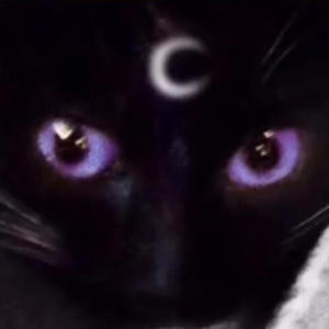 收聽ZyThaProphet的BIASED (GET HIGH) (Explicit)歌詞歌曲