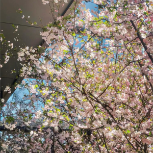 收听九离的Sunset glow (完整版)歌词歌曲