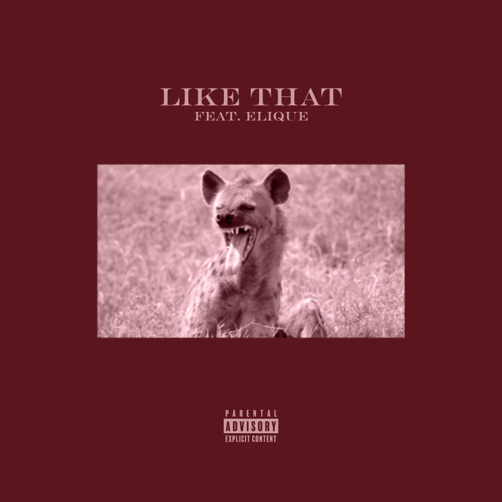 Like That (feat. Elique) (Explicit)