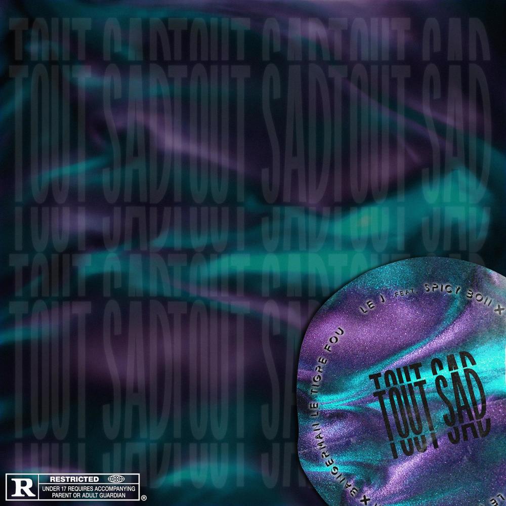 Tout Sad (feat. Spicy Boii & Bangerman Le Tigre Fou) (Explicit)