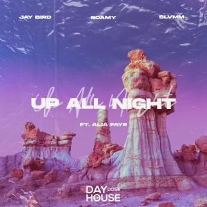 Album Up All Night (feat. Alia Faye) from Jay Bird