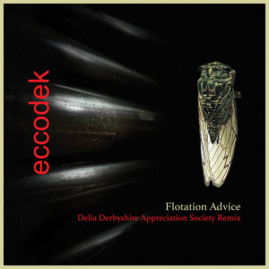 收听Eccodek的Flotation advice (Delia Derbyshire Appreciation Society Remix)歌词歌曲