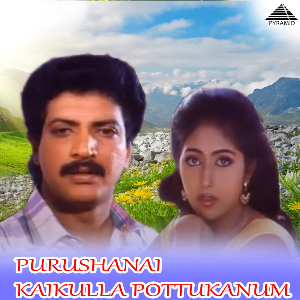 Mappillai