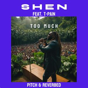 อัลบัม Too Much (feat. T-Pain) (Pitch & Reverbed) (Explicit) ศิลปิน Shen