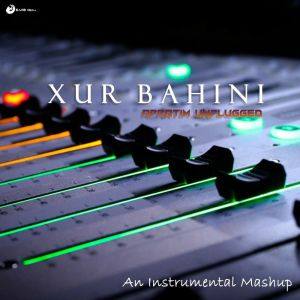 Listen to Xur Bahini (Instrumental) song with lyrics from Apratim Unplugged