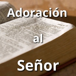 Listen to Con el Alma Doblada song with lyrics from Persis Melo