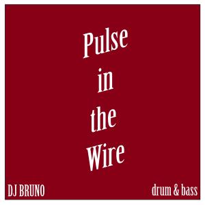 DJ Bruno的專輯Pulse in the Wire