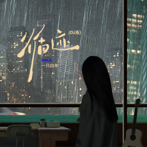 Listen to 循迹 (DJ版) song with lyrics from 一只白羊