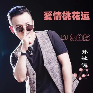 Album 爱情桃花运 (DJ舞曲版) oleh 寒武纪