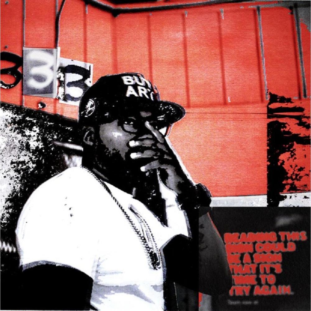 sL33pL3sS fR33StYl3 (feat. Maaly Napoleon) (Explicit)