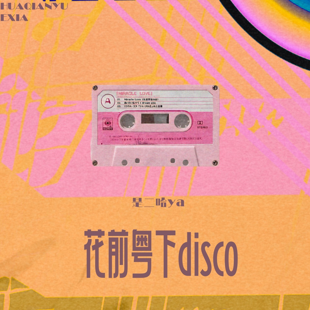 花前粤下disco (完整版)