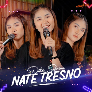 Dengarkan Nate Tresno. lagu dari Dike Sabrina dengan lirik