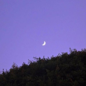 Album 美好青春 oleh 小阿玲