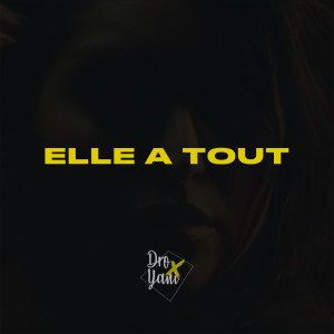 ดาวน์โหลดและฟังเพลง Elle A Tout พร้อมเนื้อเพลงจาก Dro X Yani