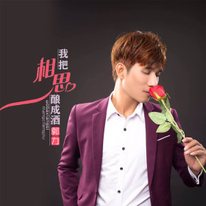 Listen to 我把相思酿成酒 (伴奏) song with lyrics from 郭力