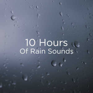 ดาวน์โหลดและฟังเพลง Relaxing Rainstorm พร้อมเนื้อเพลงจาก Rain Sounds