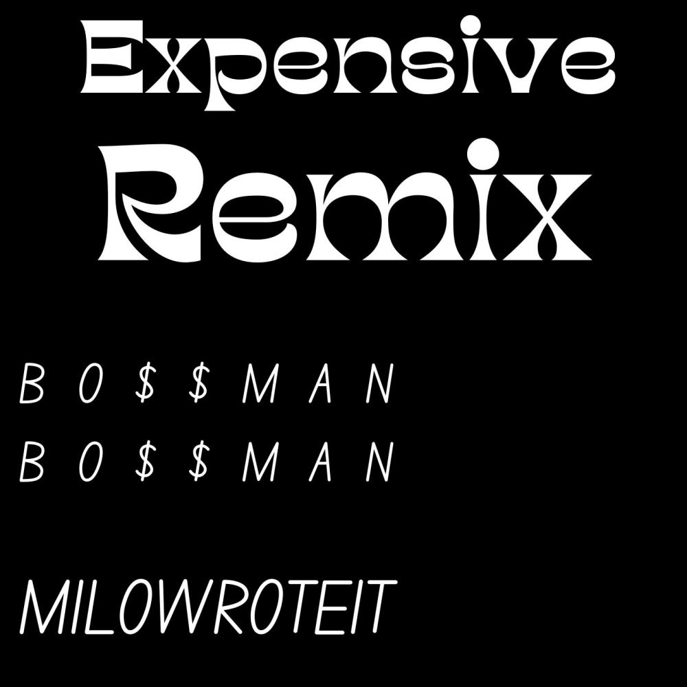 Expensive Remix (feat. Milowroteit) (Explicit)