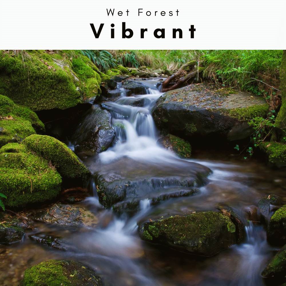 Vibrant Rest Time Sounds for Deep REM