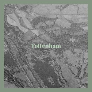 Album Tottenham from Various