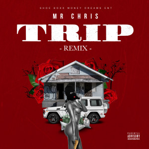 ดาวน์โหลดและฟังเพลง Trip Remix (Explicit) พร้อมเนื้อเพลงจาก Mr Chris