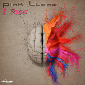 อัลบัม I Rise ศิลปิน Pink Llama