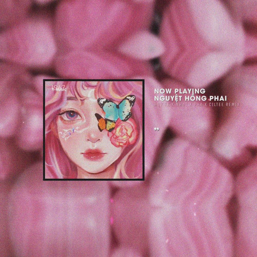 Nguyệt Hồng Phai (1967 Remix|Beat Version)