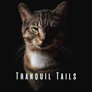 Relax Around the World Studio的專輯Tranquil Tails: Relaxing Sounds for Pet Relaxation
